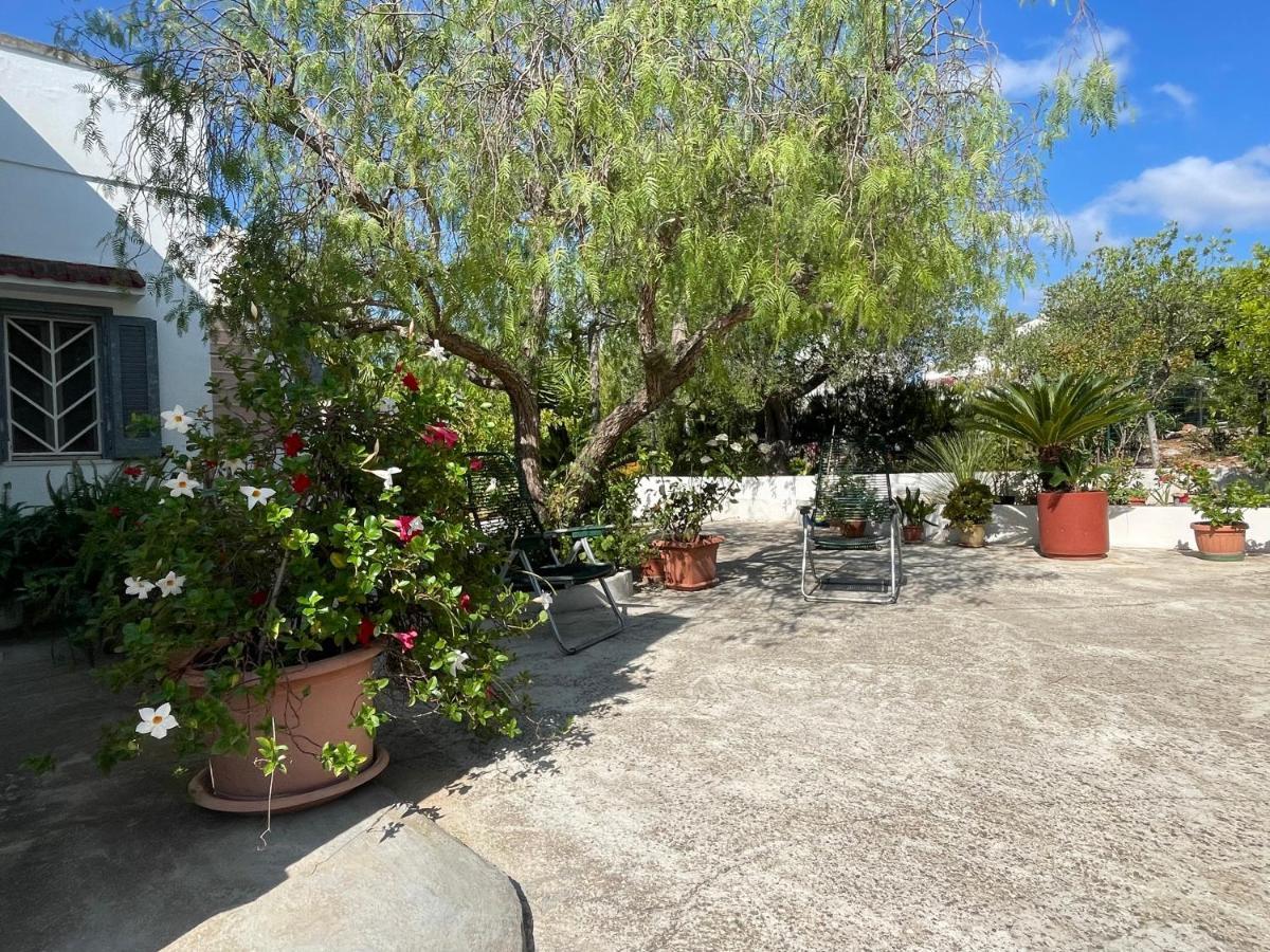 Villa Gioia Ostuni Buitenkant foto