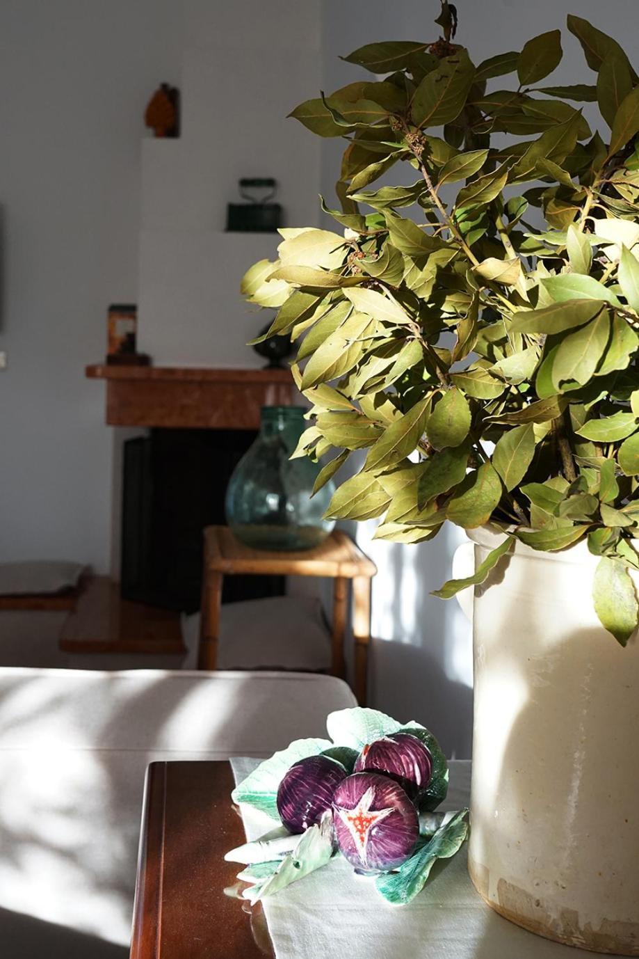 Villa Gioia Ostuni Buitenkant foto